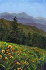 Appalachian Color Wildflowers Print 